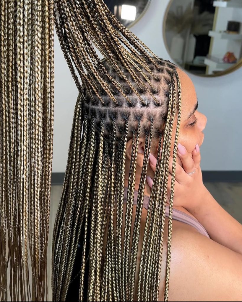 Box Braids Hairstyles for Hair Braided Women  – boxbraidstyles – 1